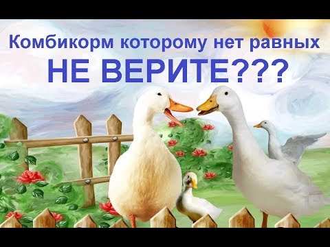 Видео: Недорогой корм для бройлерной птицы - рост как на дрожжах.