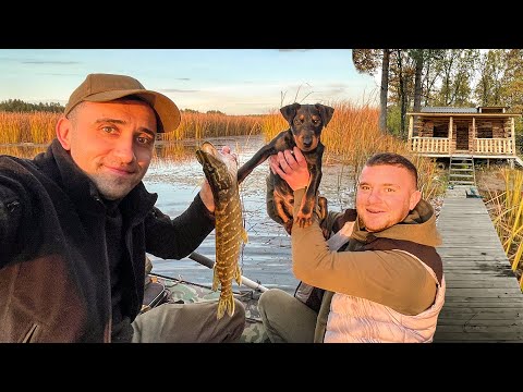 Видео: 24-Часа в Лесном лагере! С Виталиком Зеленым. Сделали перила Ловим щук Торт из лаваша