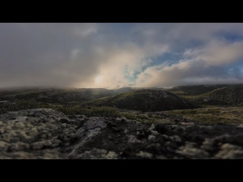 Видео: Аномалия Чёрный туман. Иной разум.