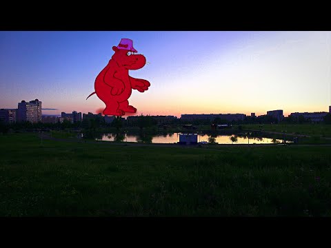 Видео: Утро в городе Витебске у пруда Бегемот