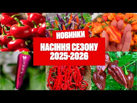 Видео: Тепличний сезон 2025: великий огляд нових і старих сортів гострих перців