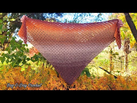 Видео: Эта БЫСТРАЯ и ПРОСТАЯ шаль крючком состоит всего из двух рядов / шаль "Speed ​​Of Light"