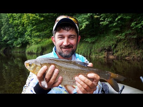 Видео: Ловля язя и окуня на малой реке на воблеры и блёсны. Река  Керженец