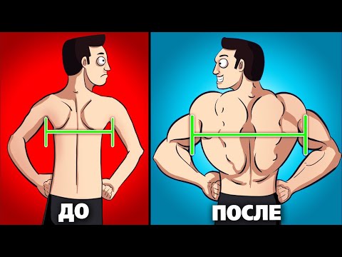 Видео: 8 ЛУЧШИХ упражнений для ШИРОКОЙ СПИНЫ!