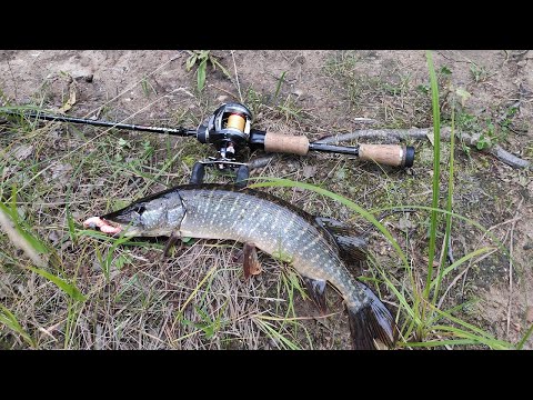Видео: Я ДОЛГО ЖДАЛ ТАКУЮ РЫБАЛКУ!ЩУКИ СХОДЯТ С УМА!!!