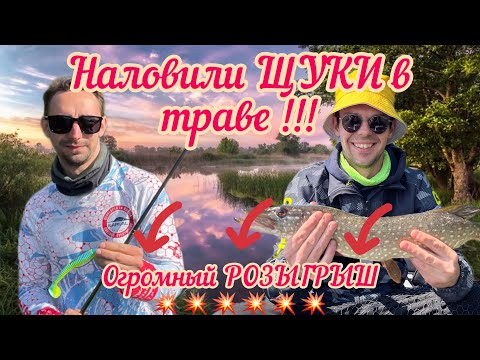 Видео: Вот это ВЫХОДЫ! Ловим ЩУКУ в траве