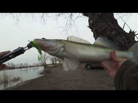 Видео: Рыбалка на Днестре 2020. СУДАК на спиннинг в январе!