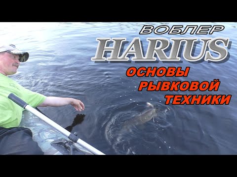Видео: ВОБЛЕР HARIUS - ОСНОВЫ РЫВКОВОЙ ТЕХНИКИ...