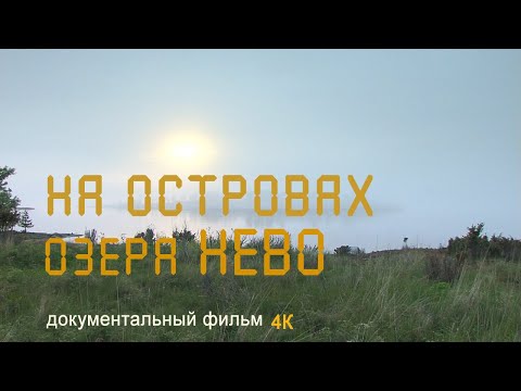 Видео: Карелия. Ладожское озеро. Валаамский архипелаг. Ладожская нерпа. Nature of Russia. 4К