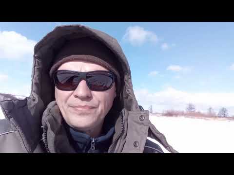 Видео: Зимняя рыбалка на реке Битюг. Малый Кисляй.