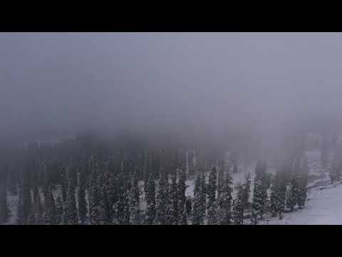 Видео: NeoDauz - Қараша🍂| Kazakh Deep House | Қазақша ән | Deep House / Chill Vibes