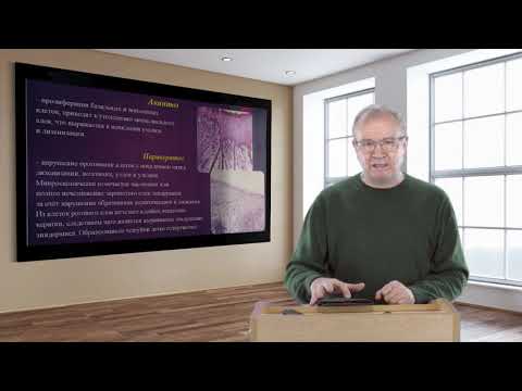 Видео: 01 онкостоматология Огнерубов Н А   21 апреля 2020