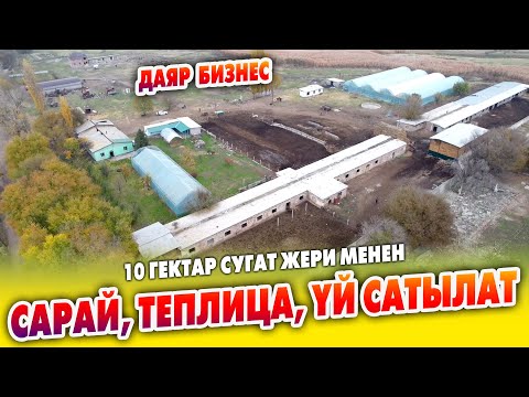 Видео: Даяр БИЗНЕС! 10 гектар Жер, Сарай, Тпелица, Үй сатылат ~ Суу, свет бар. Жайыт кененю документи так