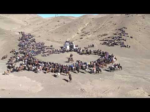 Видео: Сумсар айылда чон аламан улак / Баяс балбан эниште бир торпоко таштады !