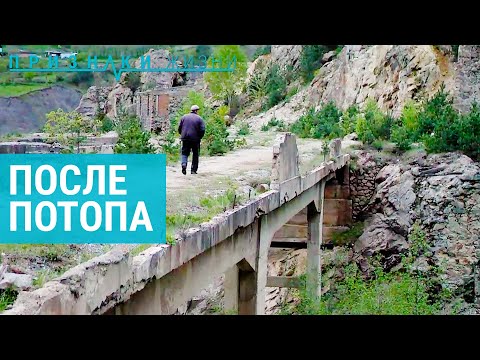 Видео: После потопа. Шахтерский поселок Садон | ПРИЗНАКИ ЖИЗНИ