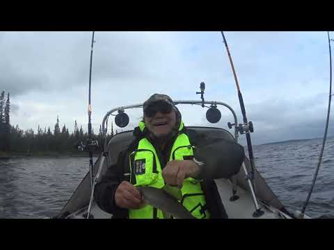 Видео: Ловозеро 2020 Часть 1/ ДОМИК И БАНЯ в фильме 8(911)345-27-95 Юрий