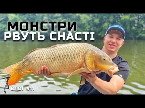 Видео: МОНСТРИ РВУТЬ СНАСТІ!!! РОЗЛОВИЛИ ОЗЕРО КАРПИЧ!!!