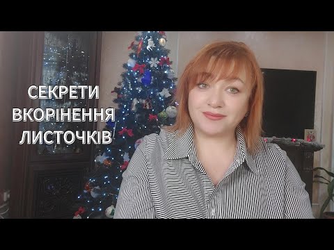 Видео: СЕКРЕТИ ВКОРІНЕННЯ ЛИСТОЧКІВ ФІАЛОК/Secrets of rooting violets