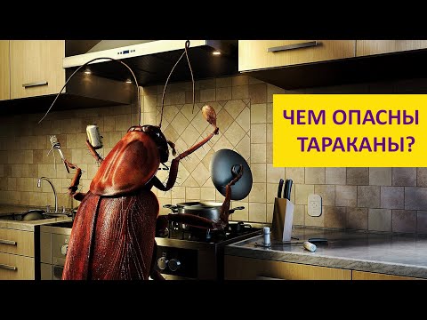 Видео: Рыжий, усатый, непобедимый! Наталья Носова