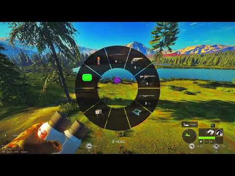 Видео: TheHunter: CalloftheWild.Каменушка-брильянт №2 .И куча разношерстных оперений.