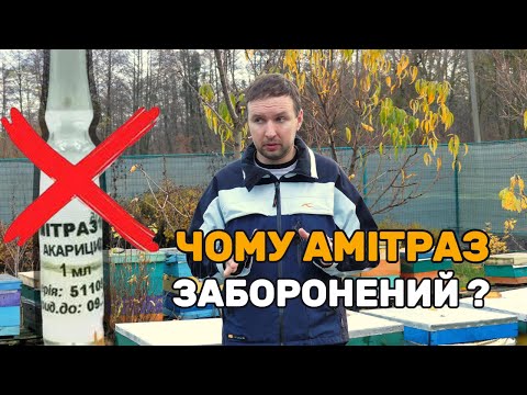 Видео: Чому Європа заборонила Амітраз, і чим вона обробляє від кліща Вароа?