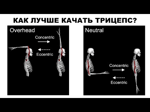 Видео: КАК ЛУЧШЕ КАЧАТЬ ТРИЦЕПС?