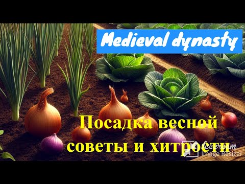 Видео: Средневековая династия: Посадка полей весной – советы и хитрости!