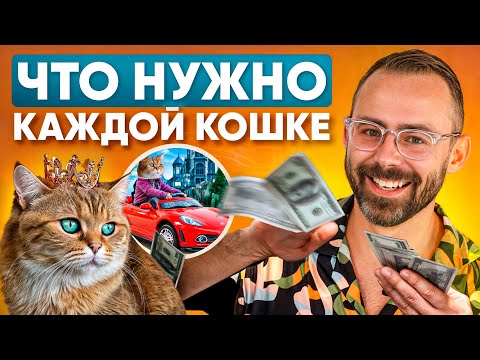 Видео: Каждая кошка мечтает об этом стартовом наборе в дом