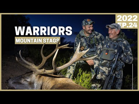 Видео: СТАРЫЙ ВОИН💥 САМЫЙ СИЛЬНЫЙ ОЛЕНЬ, С КОТОРЫМ МЫ КОГДА-ЛИБО ВСТРЕЧАЛИ💥 В ГОРАХ ЛЕОНА 💥ВИНТОВАЯ ОХОТА