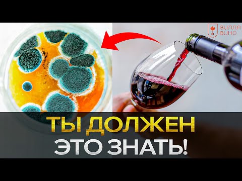 Видео: Чем станет Твоё ВИНО через месяц? РЕАЛЬНЫЙ Эксперимент от Винодела
