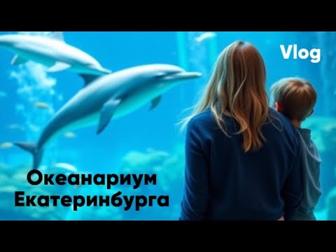 Видео: Океанариум в Екатеринбурге / Наши впечатления и цены