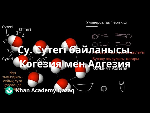 Видео: Су. Сутектік байланыс. Когезия мен Адгезия | Қазақ Хан Академиясы