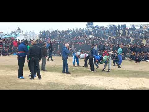 Видео: Обитали &  Анушервон Кураш Чорбог 24.02.2024