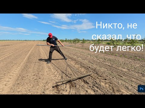 Видео: Хозяин,лучше нет, пчел упустил,рыбы не …