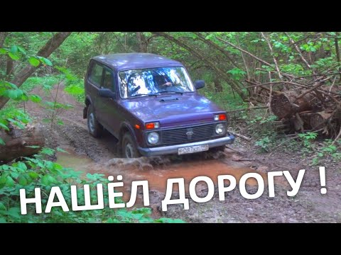 Видео: Нашёл дорогу И нашёл Много металла!