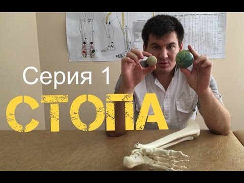 Видео: Первая серия. Стопа. Как поэтапно восстановить позвоночник и суставы