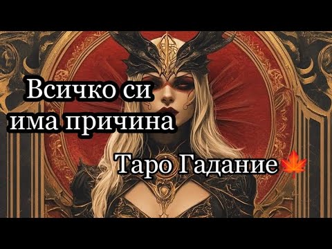 Видео: Таро гадание за Теб!🕸 #окултизъм #духовноеразвитие #саморазвитие