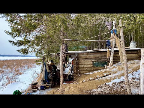 Видео: Стёжки дорожки Таёжные отшельники (30 лет одиночества 72 серия)