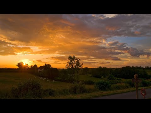Видео: Переезд из Города в Деревню. Часть 1.