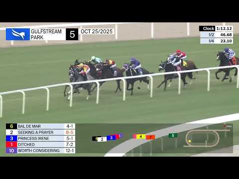 Видео: Повтор шоу в Gulfstream Park | 25 октября 2025 г.