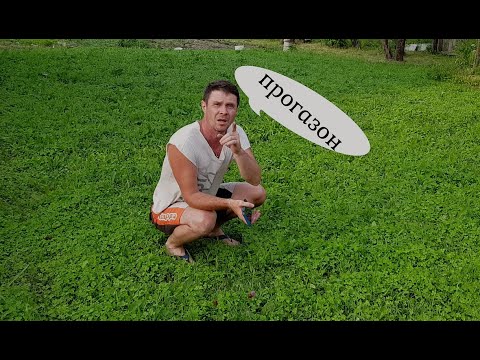 Видео: ШОК!!! ГАЗОН РАСТЕТ САМ ПО СЕБЕ