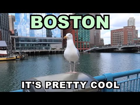 Видео: БОСТОН: Это довольно круто