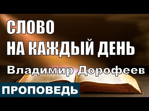 Видео: Слово на каждый день