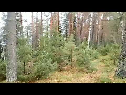 Видео: Прогноз на будущее о потеплении и  садоводстве