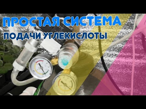 Видео: 🤿Co2 в ситиферме клубники. Подача углекислого газа в растения на малообъемке с баллоном CO2.