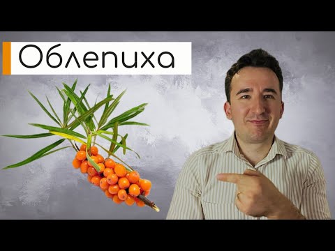 Видео: ОБЛЕПИХА: польза и вред. Для глухих #sign #deaf #ржя 