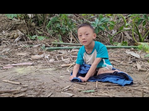 Видео: Отец-одиночка Ли Ан и Чиу Выонг отремонтировали курятник, а Динь вырастил ещё несколько цыплят.