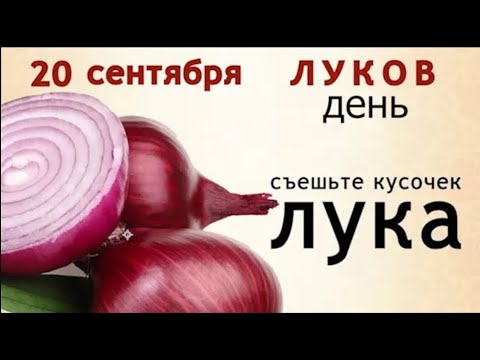 Видео: 20 сентября - Созонт и Лука. Съешьте в этот день побольше лука и ничего не давайте из дома