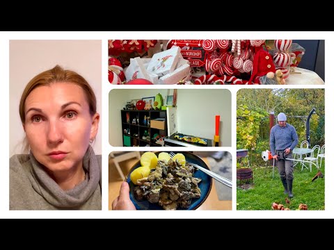 Видео: Странное Совпадение 🤯 Сравнила Платежи и Нашла Ошибку 🧐 Жарю Грибы 🍄 Влог 20.10.2025