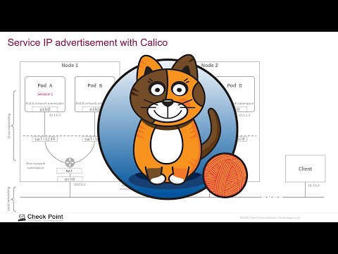 Видео: Calico для сети в Kubernetes